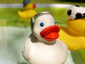 une photo avec des canards en platique flotant dans une piscine