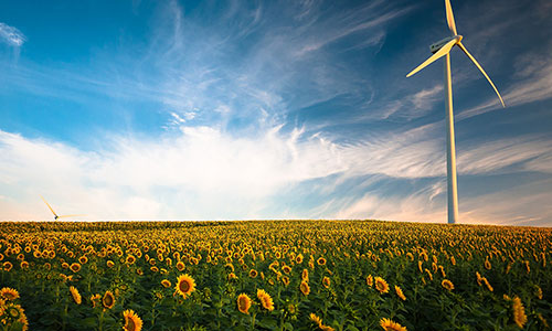 Image de Pixabay d'une éolienne dans un champ de tournesol